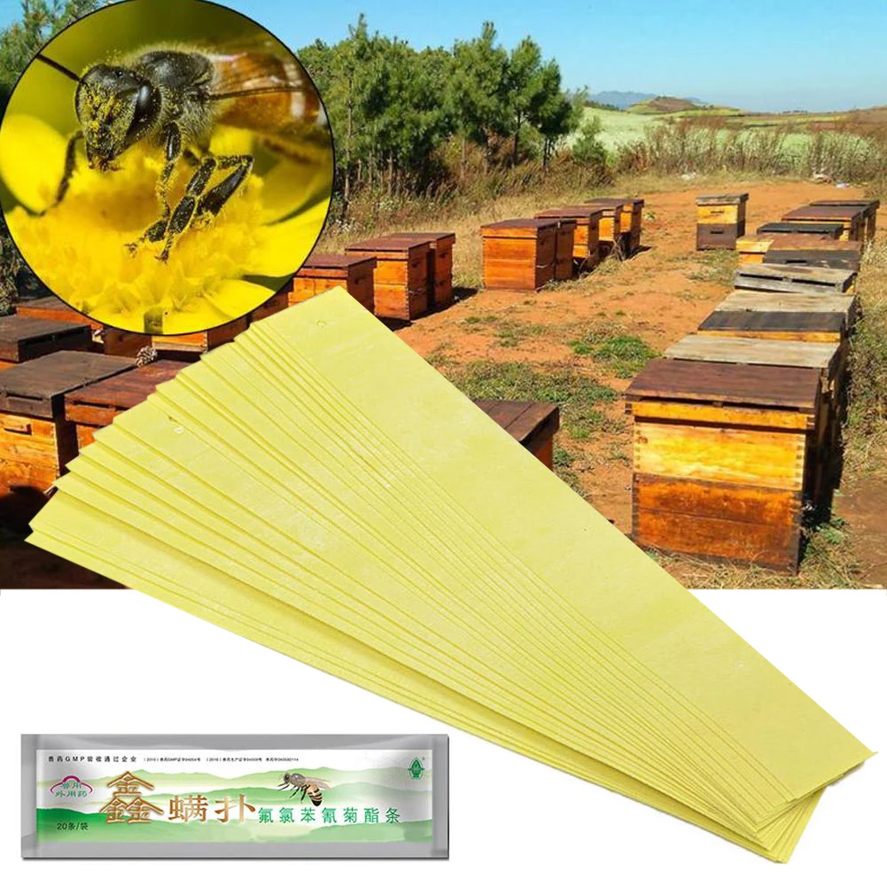 Bee Mite Flubutyrate Strips Fluvalinate Strips Anti Insect Pest Controller Instant Mite Killer Miticide Bee Medicine Mite Strip
Bee Mite Flubutyrate Strips Fluvalinate Strips Anti Insect Pest Controller Instant Mite Killer Miticide Bee Medicine Mite Strip