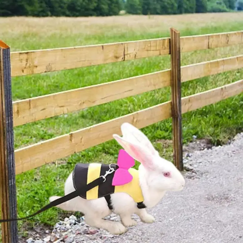 Soft Rabbit Leash Chest Strap Ferret Guinea Pig Bunny Hamster Adjustable Puppy Bowknot Chest Strap Harness Small Pet Supplies
Soft Rabbit Leash Chest Strap Ferret Guinea Pig Bunny Hamster Adjustable Puppy Bowknot Chest Strap Harness Small Pet Supplies