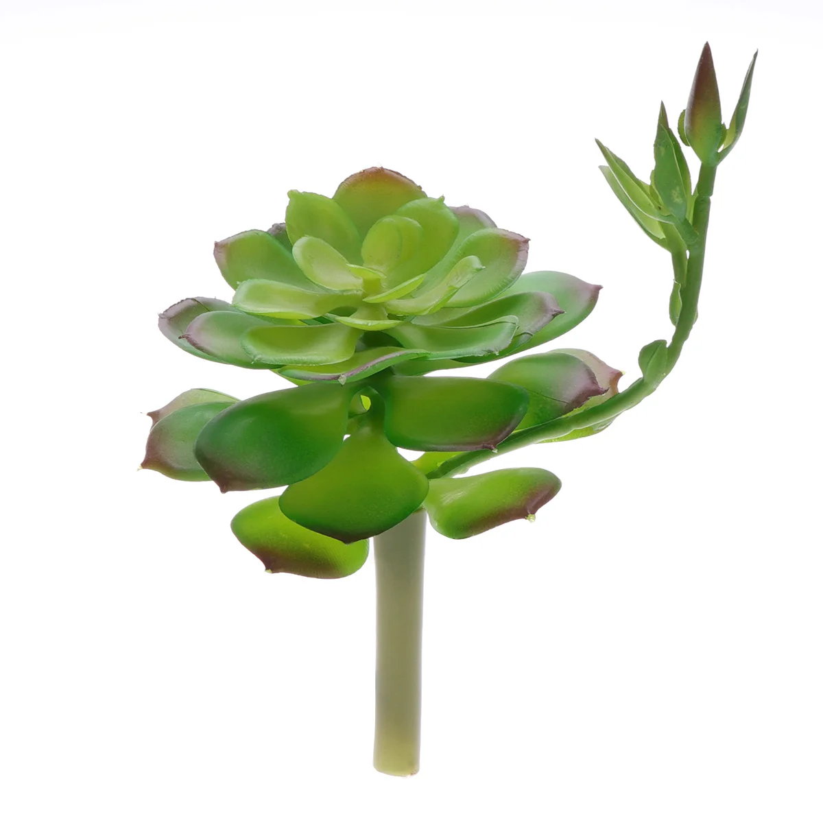 Simulation Plants Home Decor Decorative Plants Fake Succulent Artificial Succulent Plants Decorate Faux Succulent Fake Succulent
Simulation Plants Home Decor Decorative Plants Fake Succulent Artificial Succulent Plants Decorate Faux Succulent Fake Succulent
