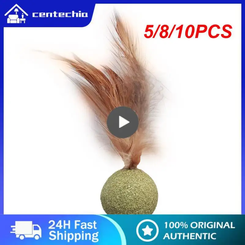 5/8/10PCS Teeth Cleaning Catnip Ball Cat Snack Cat Ball Household Chasing Game Cat Feather Toy Cat Molar Cat Toy
5/8/10PCS Teeth Cleaning Catnip Ball Cat Snack Cat Ball Household Chasing Game Cat Feather Toy Cat Molar Cat Toy