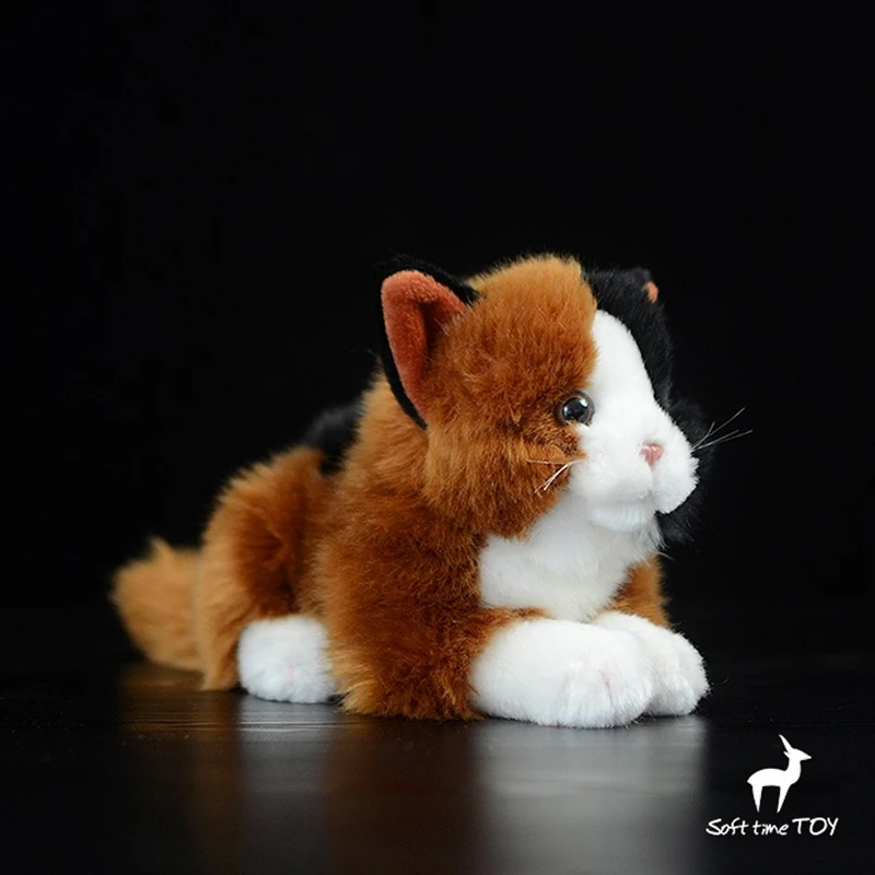Кошки, плюшевая кукла, игрушка-животное, реальная жизнь, лежащая кошка, куклы, игрушки, рождественские подарки для девочек
Кошки, плюшевая кукла, игрушка-животное, реальная жизнь, лежащая кошка, куклы, игрушки, рождественские подарки для девочек