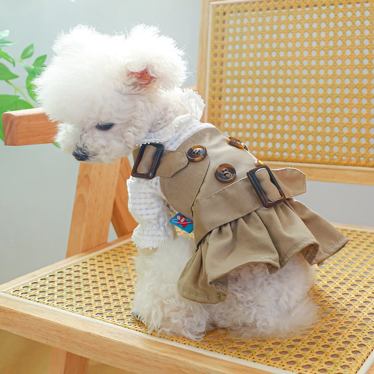 

Puppy Khaki Trench Couple's Pomeranian, Coat Coat, Bichon, Clothes, And Teddy, Autumn for Spring Dog,