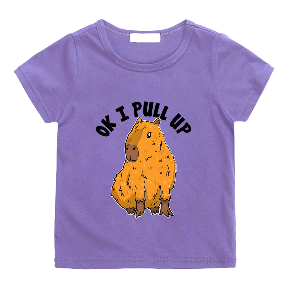 OK I PULL UP Capybara Cute Print Tee-shirt 100% Cotton Casual Short Sleeve T-shirt Kawaii Boys and Girls Children Tshirt Graphic
OK I PULL UP Capybara Cute Print Tee-shirt 100% Cotton Casual Short Sleeve T-shirt Kawaii Boys and Girls Children Tshirt Graphic