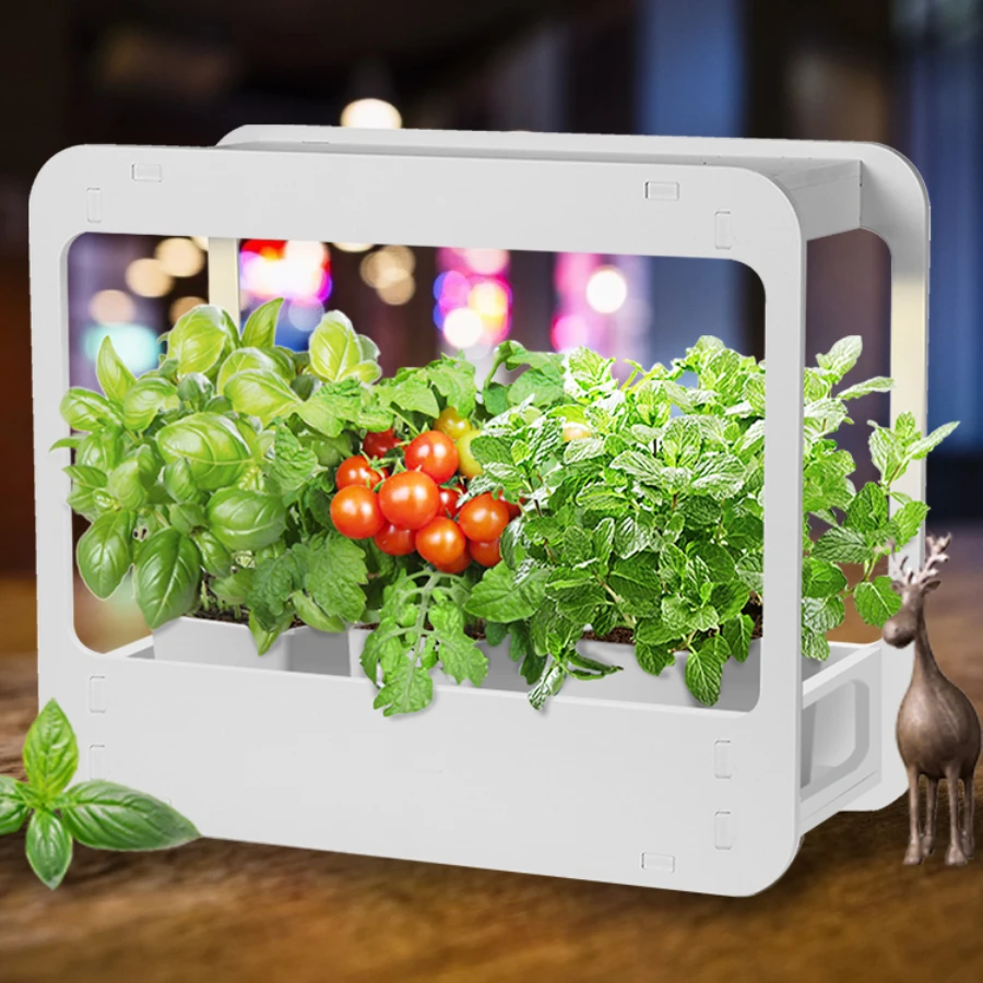 Minigarden Eragon Indoor Garden Led Hydroponic Indoor Garden Light Indoor Gardening Supplies
Minigarden Eragon Indoor Garden Led Hydroponic Indoor Garden Light Indoor Gardening Supplies