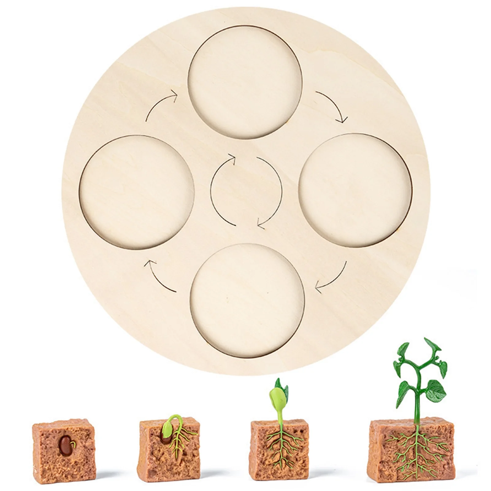 Wooden Life Cycle Puzzles Toy Green Bean Plant Growth Cycle Science Teaching Aids Geometric Matching Montessori Toy Kids Girls
Wooden Life Cycle Puzzles Toy Green Bean Plant Growth Cycle Science Teaching Aids Geometric Matching Montessori Toy Kids Girls