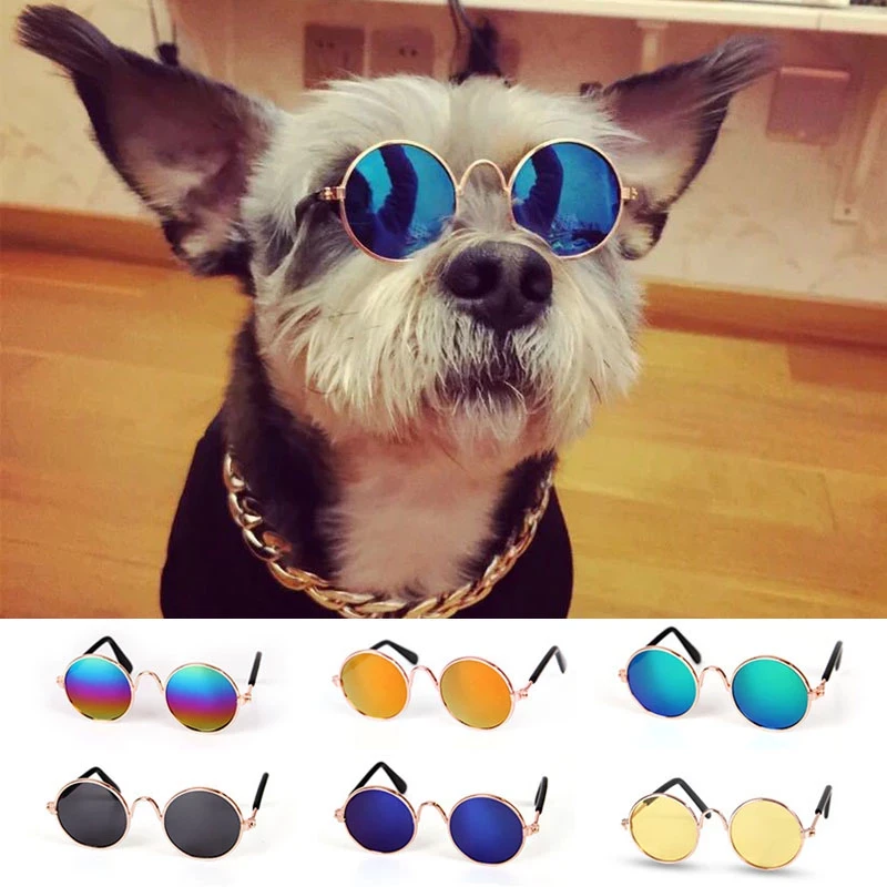 1 Piece Dog Pet Glasses Pet Supplies Glasses Dog Pet Sunglasses Photo Prop Accessories Chihuahua French Bulldog Pug Pet Supplies
1 Piece Dog Pet Glasses Pet Supplies Glasses Dog Pet Sunglasses Photo Prop Accessories Chihuahua French Bulldog Pug Pet Supplies