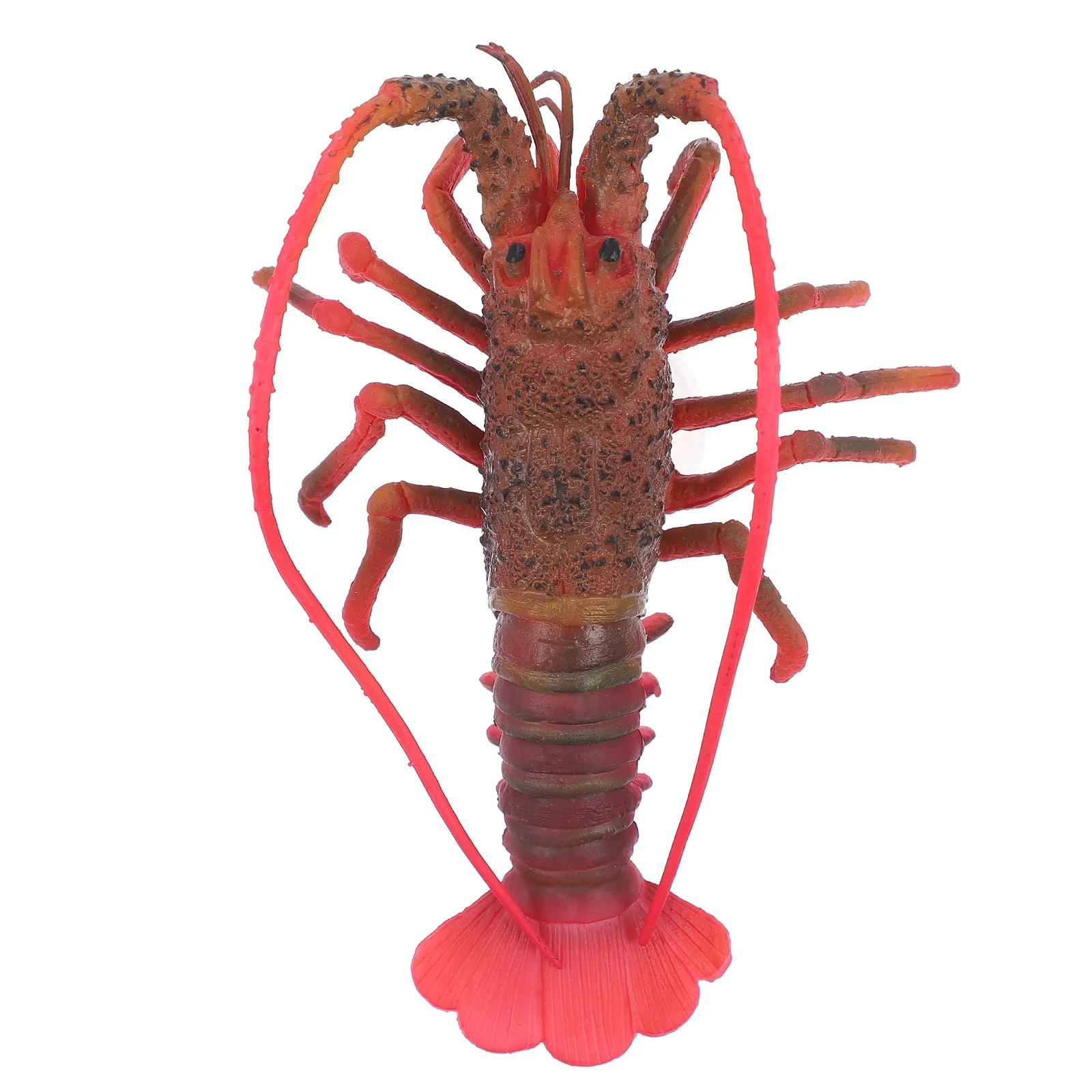 Lobsteranimal Model Sea Aquarium Decor Artificial Kids Displayfigures Ornament Learning Fake Hometoys Educational Decoration 
Lobsteranimal Model Sea Aquarium Decor Artificial Kids Displayfigures Ornament Learning Fake Hometoys Educational Decoration