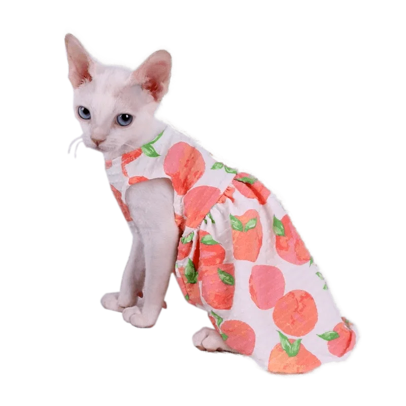 Sphinx Hairless Cat Clothes for Devon Rex Kitten Dress Sleeveless Puff Spring Summer Costume for Sphynx Cat Clothing
Sphinx Hairless Cat Clothes for Devon Rex Kitten Dress Sleeveless Puff Spring Summer Costume for Sphynx Cat Clothing