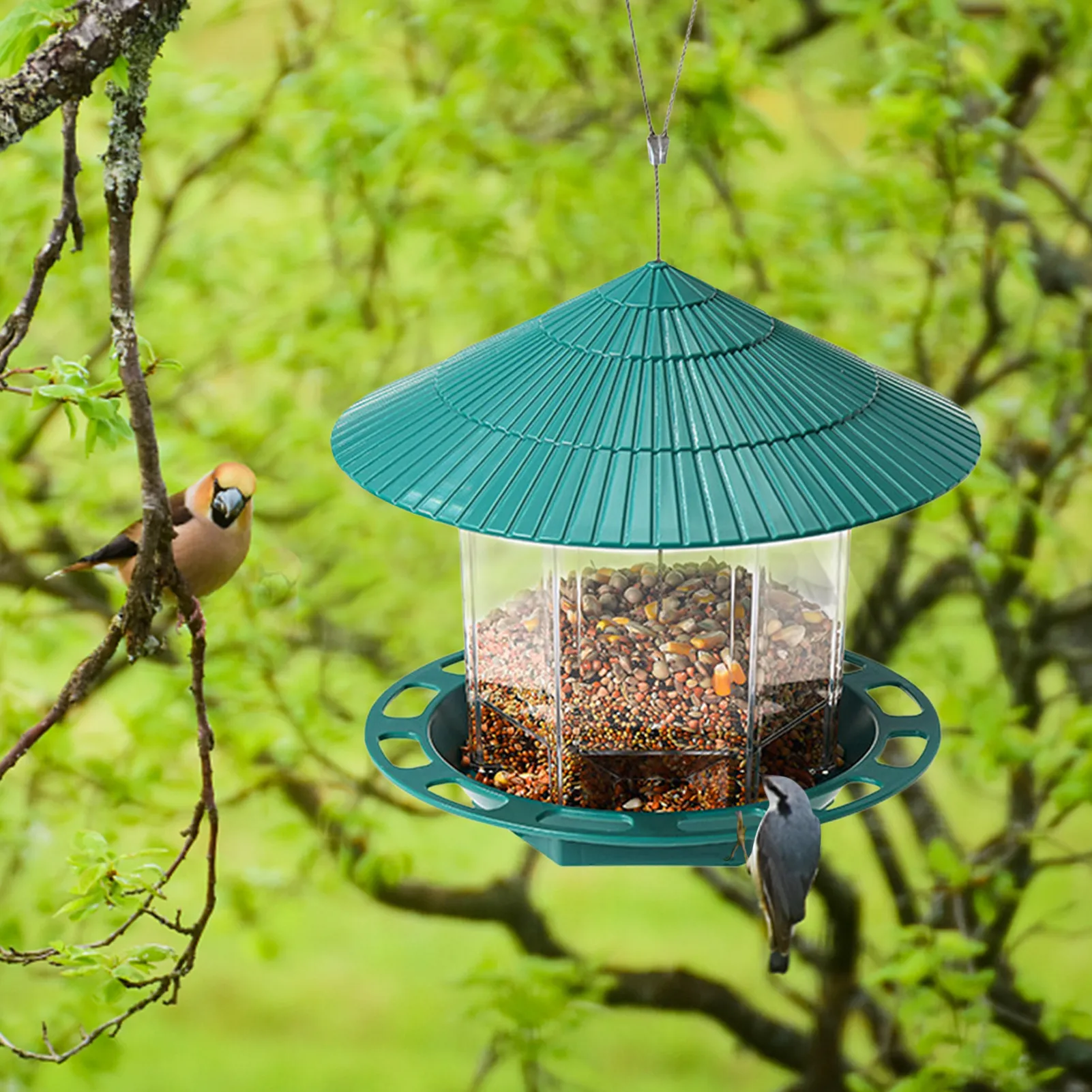 Кормушки для птиц для улицы, ветронепроницаемые, герметичные кормушки для птиц с проволокой и крышей, кормушки для птиц с проволокой и крыше...
Кормушки для птиц для улицы, ветронепроницаемые, герметичные кормушки для птиц с проволокой и крышей, кормушки для птиц с проволокой и крыше...