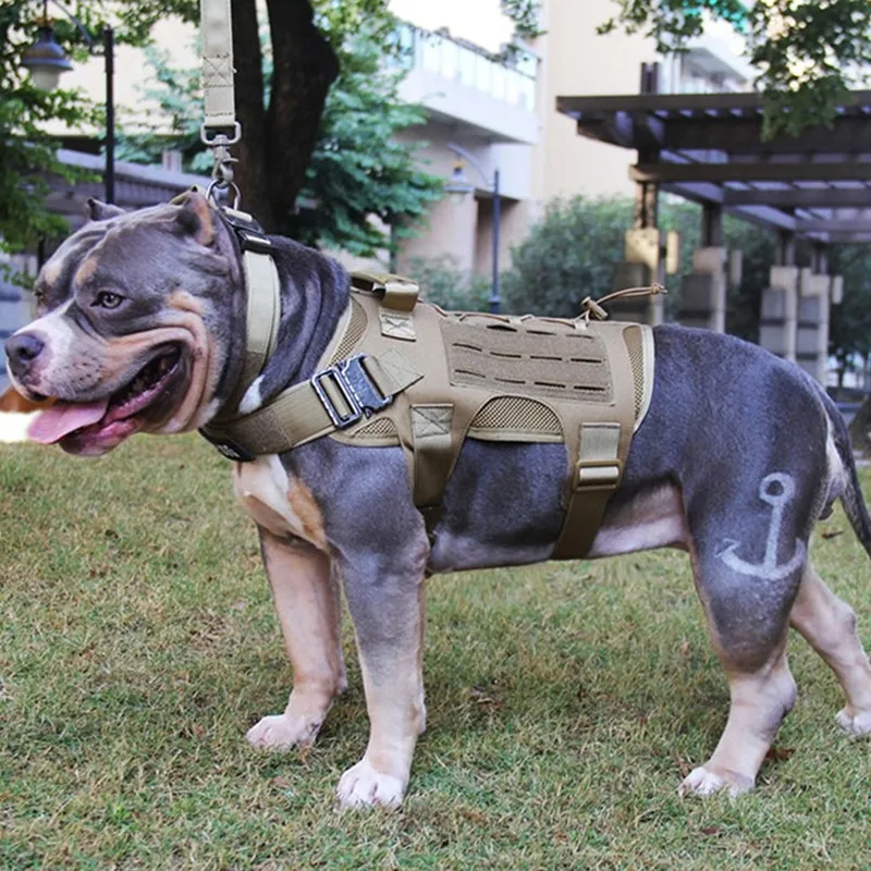Military Pet Vests Dog Tactical Harness Adjustable Nylon Harnesses Outdoor Training Supplies Medium Large Dogs German Shepherd
Military Pet Vests Dog Tactical Harness Adjustable Nylon Harnesses Outdoor Training Supplies Medium Large Dogs German Shepherd