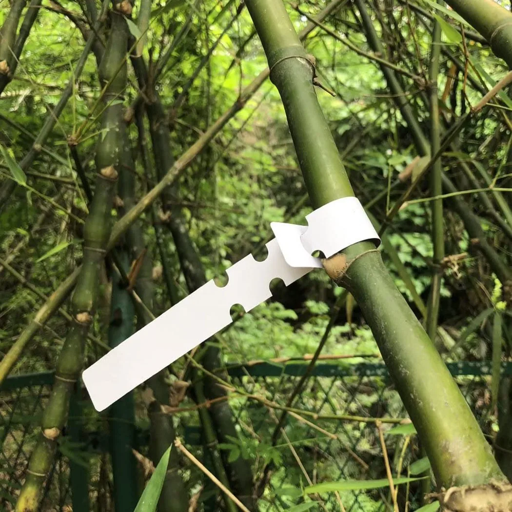 New Part Tool Plant Tags Labels Marker Name Outdoor Plant Waterproof 100pcs Accessories Garden Hanging Nursery
New Part Tool Plant Tags Labels Marker Name Outdoor Plant Waterproof 100pcs Accessories Garden Hanging Nursery