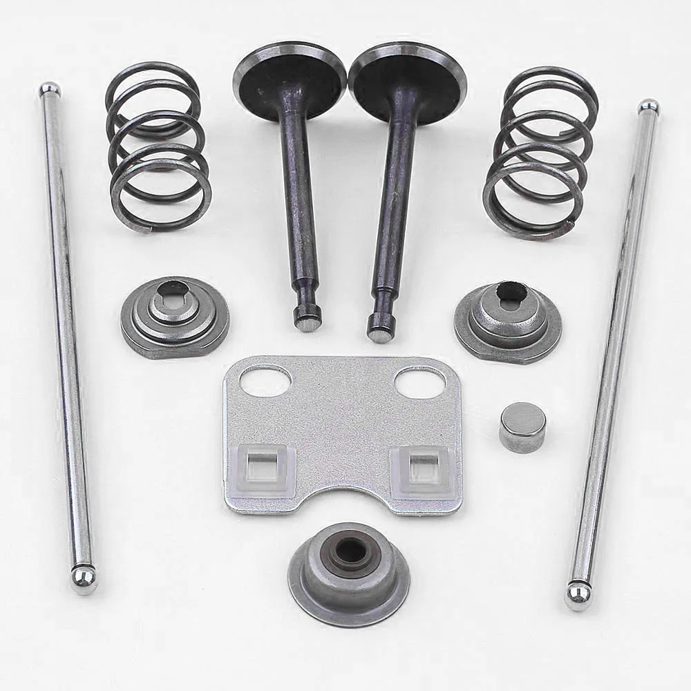 High Quality Intake Valve Engine Useful Valve Rod Sealing Chainsaw Components Replacement Set Spring Valves Tool
High Quality Intake Valve Engine Useful Valve Rod Sealing Chainsaw Components Replacement Set Spring Valves Tool