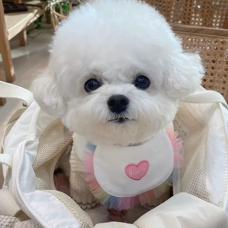 Cute Dog Cute Heart Cotton Bib Pet Slobber Dog Bib Cat Bib Pet Bib Pet Supplies Pet Products Pet Accessories Dog Accessories
Cute Dog Cute Heart Cotton Bib Pet Slobber Dog Bib Cat Bib Pet Bib Pet Supplies Pet Products Pet Accessories Dog Accessories