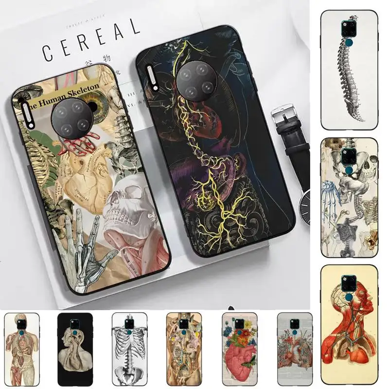 Medical Human Anatomy Phone Case for Huawei Mate 20 10 9 40 30 lite pro X Nova 2 3i 7se
Medical Human Anatomy Phone Case for Huawei Mate 20 10 9 40 30 lite pro X Nova 2 3i 7se