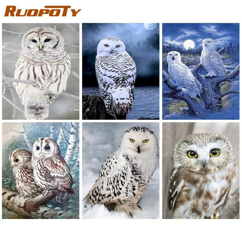 RUOPOTY Digital pictures owls animals adults hand-painted painting kits canvas oil painting DIY home decor gifts
RUOPOTY Digital pictures owls animals adults hand-painted painting kits canvas oil painting DIY home decor gifts