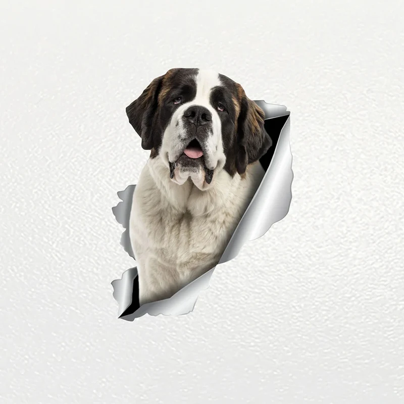 

V1154# Car Sticker Saint Bernard Dog Pet Waterproof Vinyl Decal Car Accessories Decor Pegatinas Para Coche