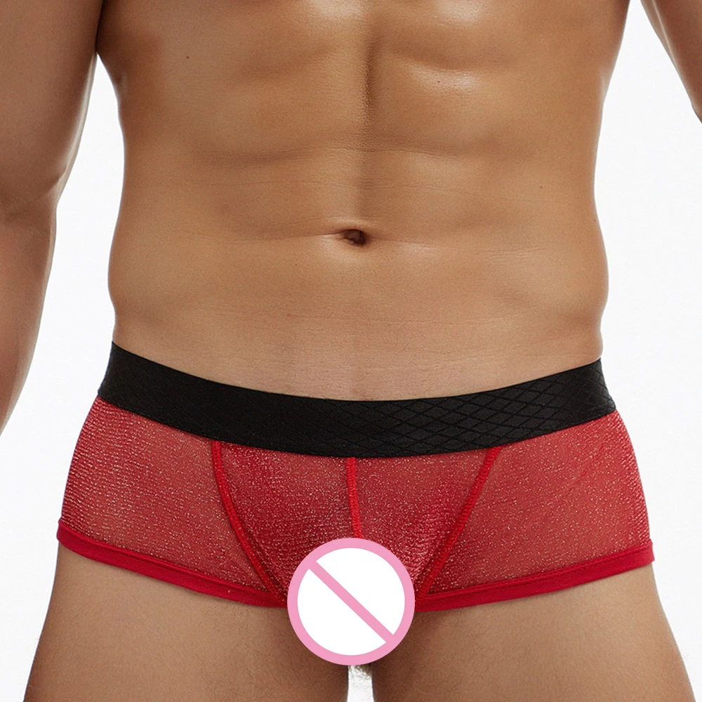 Men Boxers Sexy See-Through Panties Lingerie Man Mesh Boxer Shorts Pouch Briefs Underpants Underwear Trunks Slip Homme
Men Boxers Sexy See-Through Panties Lingerie Man Mesh Boxer Shorts Pouch Briefs Underpants Underwear Trunks Slip Homme