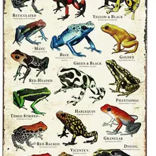Licpact Poison Dart Frogs Motivational Inspirational Home Living Dining Room Dent Dormroom Wall Plaque Tin Sign Metal Poster