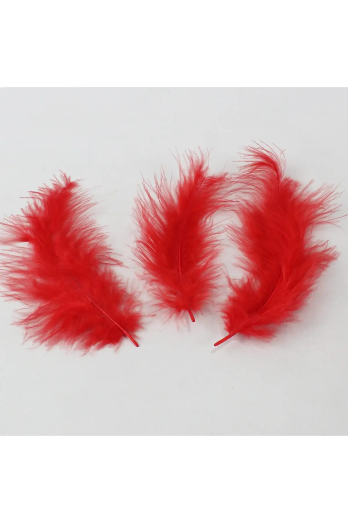 100 pcs Red 14 Cm Feather Bird Brigadier henna Night Wedding Candy Decoration Material henna bride veil welon
100 pcs Red 14 Cm Feather Bird Brigadier henna Night Wedding Candy Decoration Material henna bride veil welon