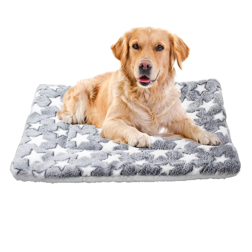 New Flannel Pet Mat Three Layer Pet Bed Autumn Winter Warm Soft Fleece Pet Cat Dog Blanket Pet Non-slip Cushion Pet Supplies
New Flannel Pet Mat Three Layer Pet Bed Autumn Winter Warm Soft Fleece Pet Cat Dog Blanket Pet Non-slip Cushion Pet Supplies