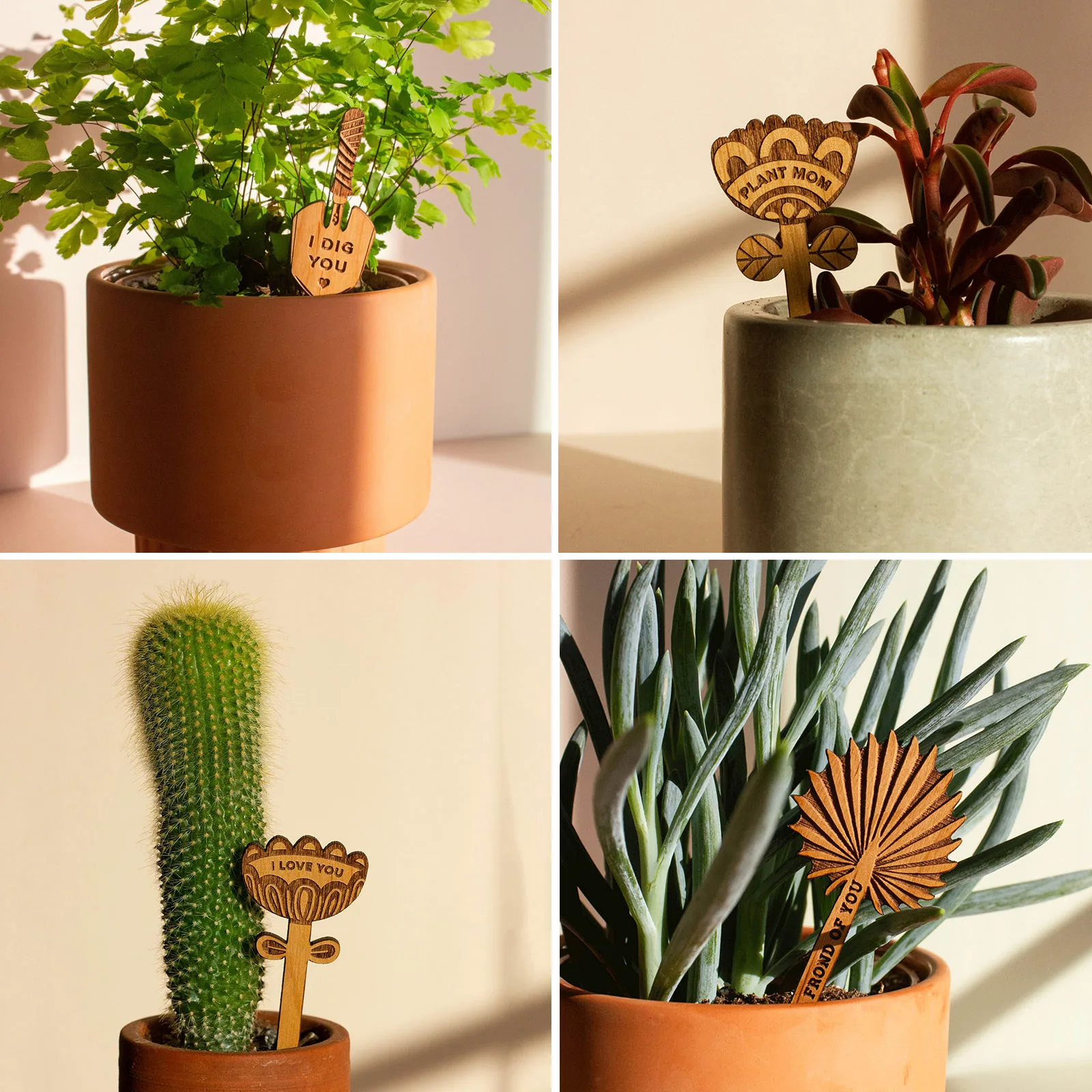 Garden Wood Mushroom Plant Pot Decorations Garden Decoration Plant Markers Housewarming Gift Plant Supplies Decorations
Garden Wood Mushroom Plant Pot Decorations Garden Decoration Plant Markers Housewarming Gift Plant Supplies Decorations