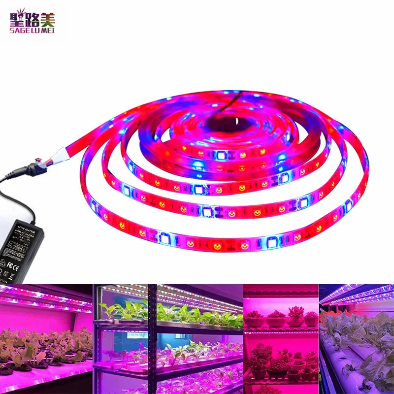 DC12V 5M SMD 5050 LED Strip Grow Lights Full Spectrum LED Flower Plant Phyto Growth Lamp For Greenhouse Hydroponic Plant Growing
DC12V 5M SMD 5050 LED Strip Grow Lights Full Spectrum LED Flower Plant Phyto Growth Lamp For Greenhouse Hydroponic Plant Growing