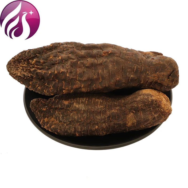 Cistanche Cistanche, Sliced Cynomorium Cistanche, Tea with Cynomorium, Impotence
Cistanche Cistanche, Sliced Cynomorium Cistanche, Tea with Cynomorium, Impotence