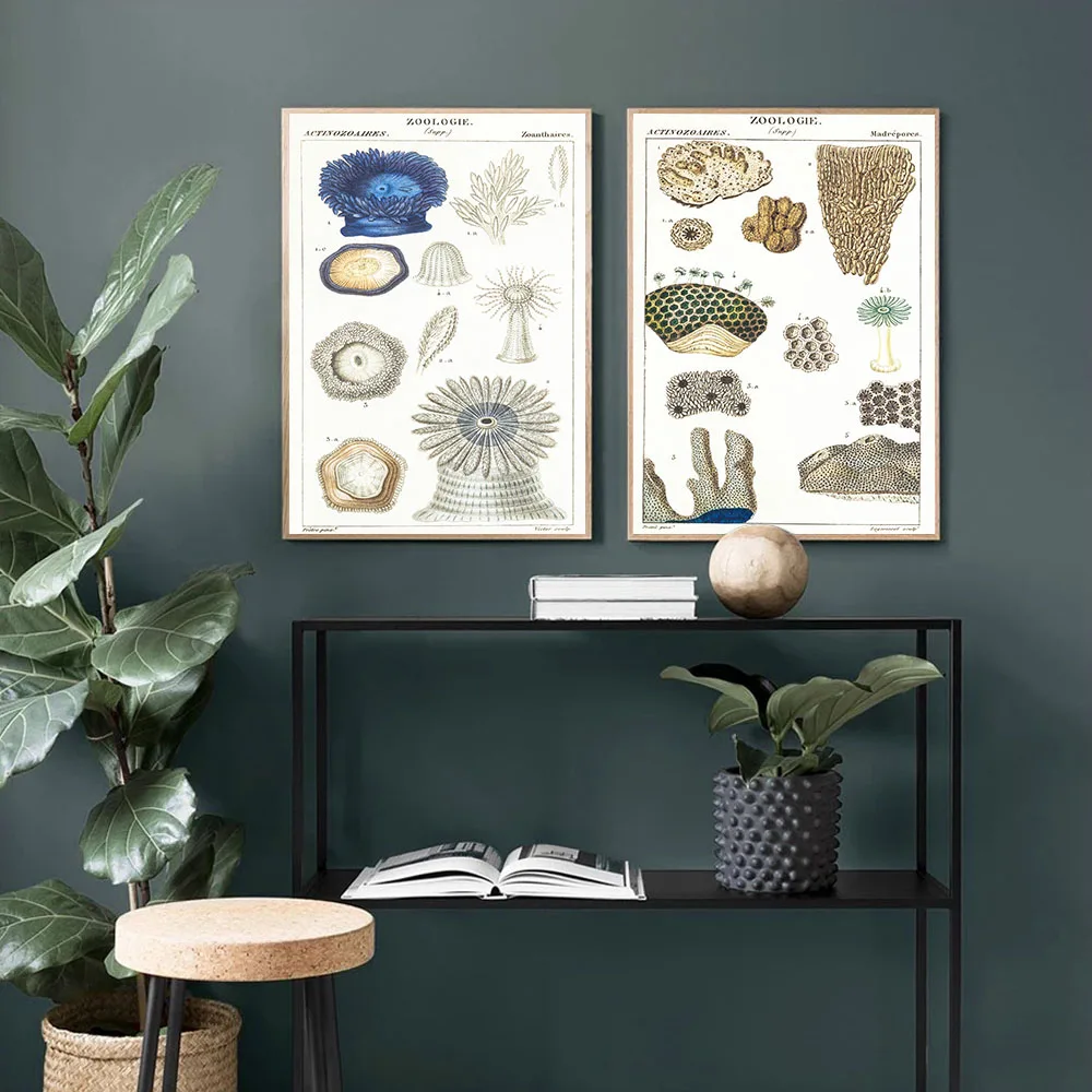 Modern Canvas Paintings Coral Category Art Marine Animals Canvas Wall Science Education Poster Living Room Home Decor Murals
Modern Canvas Paintings Coral Category Art Marine Animals Canvas Wall Science Education Poster Living Room Home Decor Murals