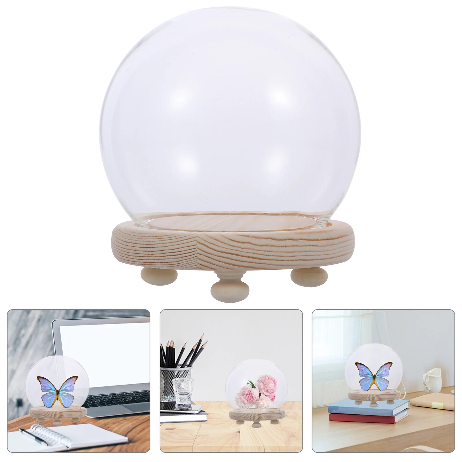 Spherical Glass Cover Dustproof Preserved Flower Accessory Jar Model Display Container
Spherical Glass Cover Dustproof Preserved Flower Accessory Jar Model Display Container