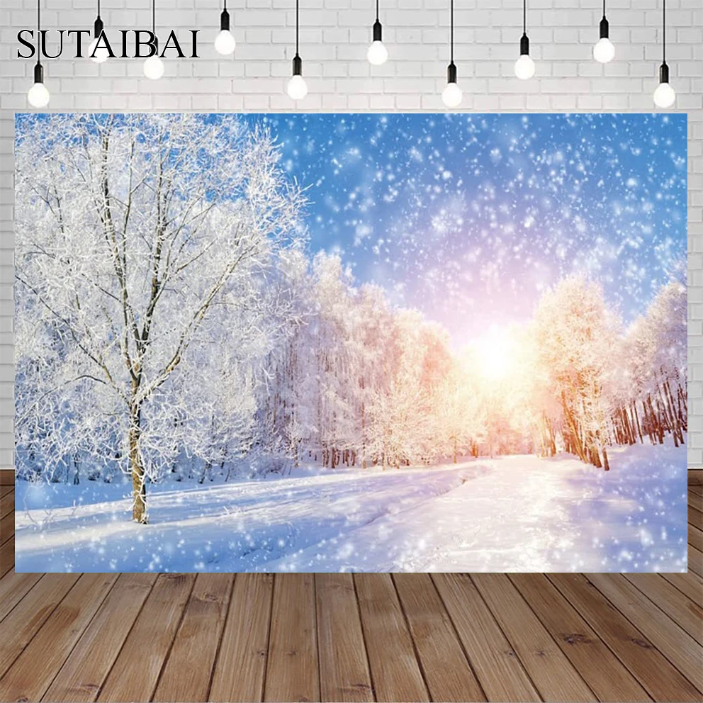 Natural Scenic Winter Snow Sunshine White Woodland Fairy Landscape Photo Studio Photography Backdrop Decoration Photocall Cloth
Natural Scenic Winter Snow Sunshine White Woodland Fairy Landscape Photo Studio Photography Backdrop Decoration Photocall Cloth