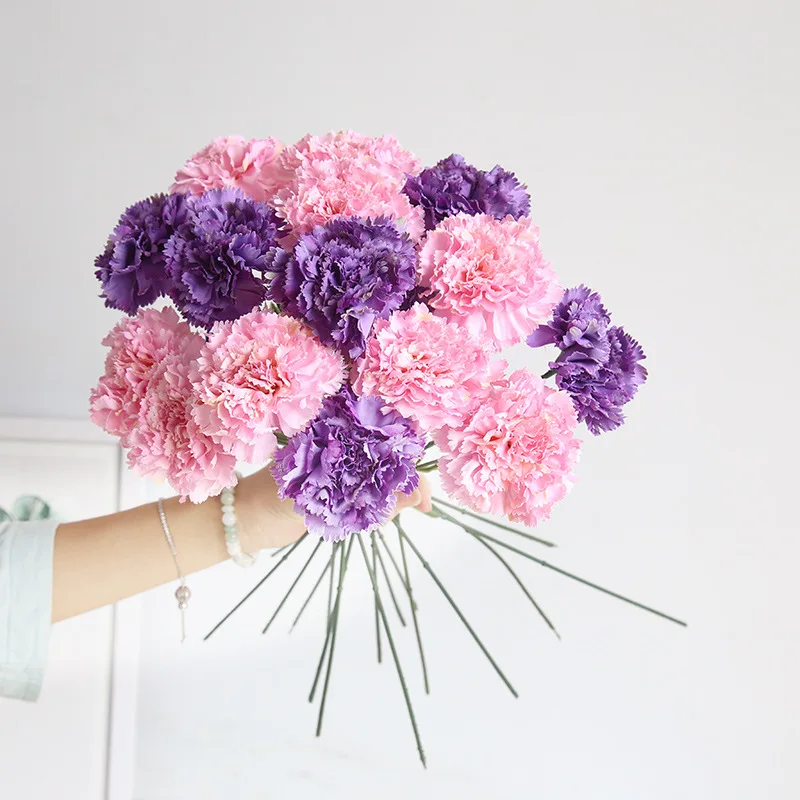 Single heads Artificial Flowers Cheap Carnations Silk Decorative Fake Flowers for Home Decoration Mother's Day
Single heads Artificial Flowers Cheap Carnations Silk Decorative Fake Flowers for Home Decoration Mother's Day