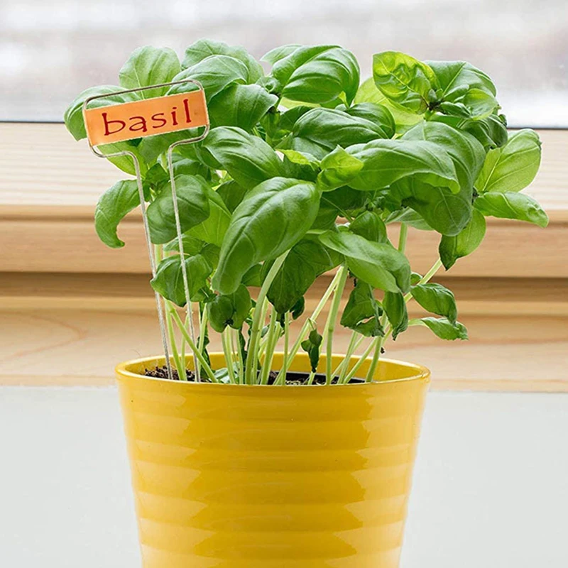 1PC Mini Wooden Chalkboard Plant Markers Creative Boxwood Blackboard Signs Garden Flowers and Plants Tags Garden Decoration Tool
1PC Mini Wooden Chalkboard Plant Markers Creative Boxwood Blackboard Signs Garden Flowers and Plants Tags Garden Decoration Tool