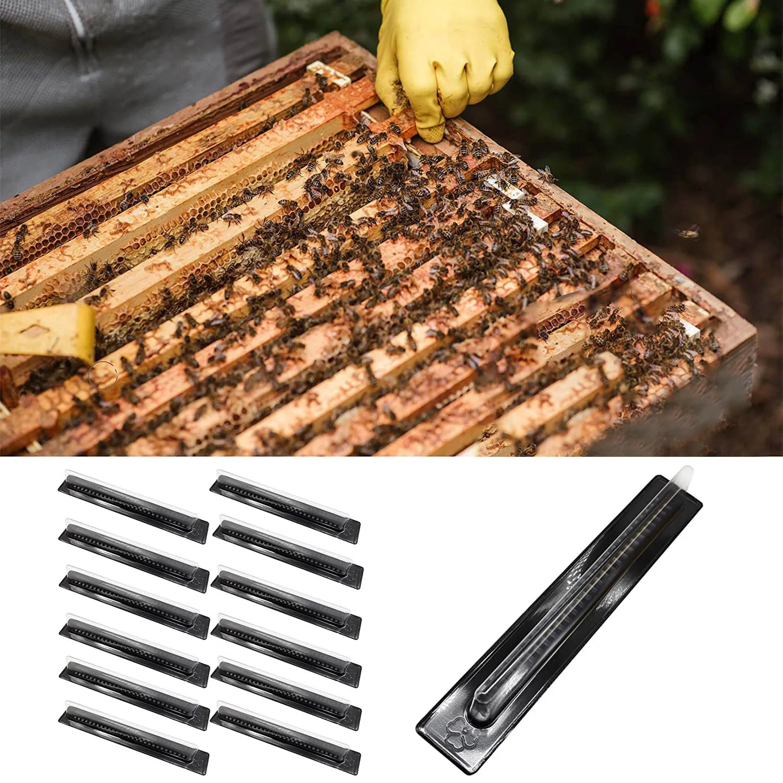 12 Packs Beehive Beekeeping Tools Case for Beekeeping Supplies Small Hive Beekeeping Tools
12 Packs Beehive Beekeeping Tools Case for Beekeeping Supplies Small Hive Beekeeping Tools