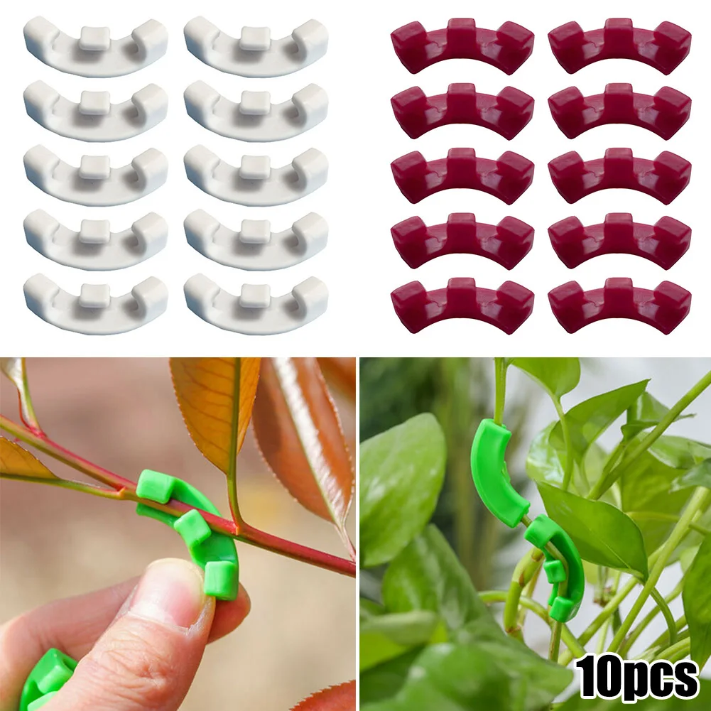 10pcs Plastic 90 Degree Plant Bender Plants Shape Potted Clamp Plant Clips For Low Stress Training Outdoor Indoor Practical Tool
10pcs Plastic 90 Degree Plant Bender Plants Shape Potted Clamp Plant Clips For Low Stress Training Outdoor Indoor Practical Tool
