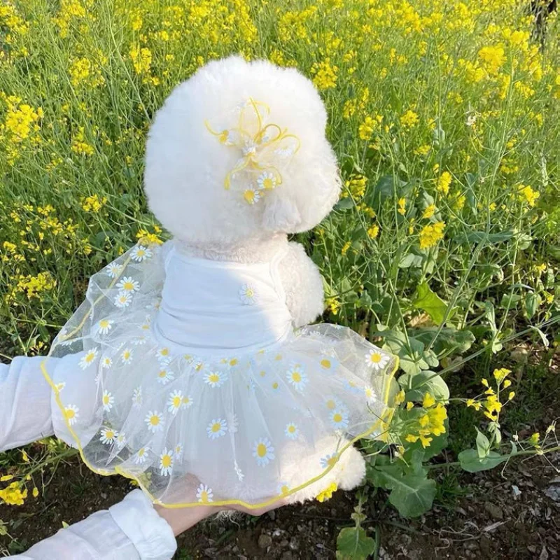 Pet Clothing Summer Strawberry Thin Pet Halter Gauze Skirt Dog Dress Small Dog Clothing Pet Supplies Pet Accessories
Pet Clothing Summer Strawberry Thin Pet Halter Gauze Skirt Dog Dress Small Dog Clothing Pet Supplies Pet Accessories