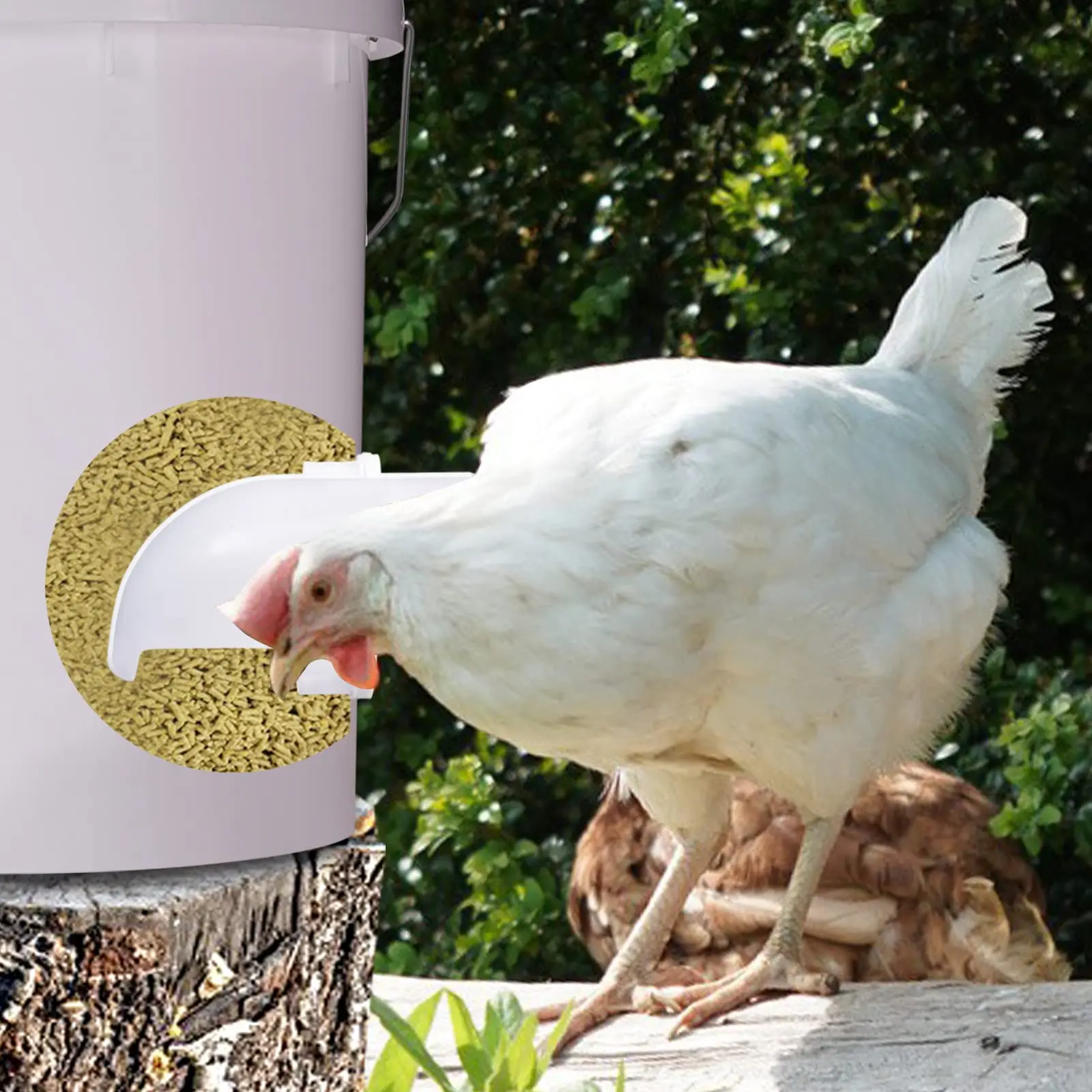 Rainproof Poultry Feeder Port 6/8 Piece Set DIY Poultry Pro Feeding Kit Special Tools For Breeding Chickens Ducks
Rainproof Poultry Feeder Port 6/8 Piece Set DIY Poultry Pro Feeding Kit Special Tools For Breeding Chickens Ducks