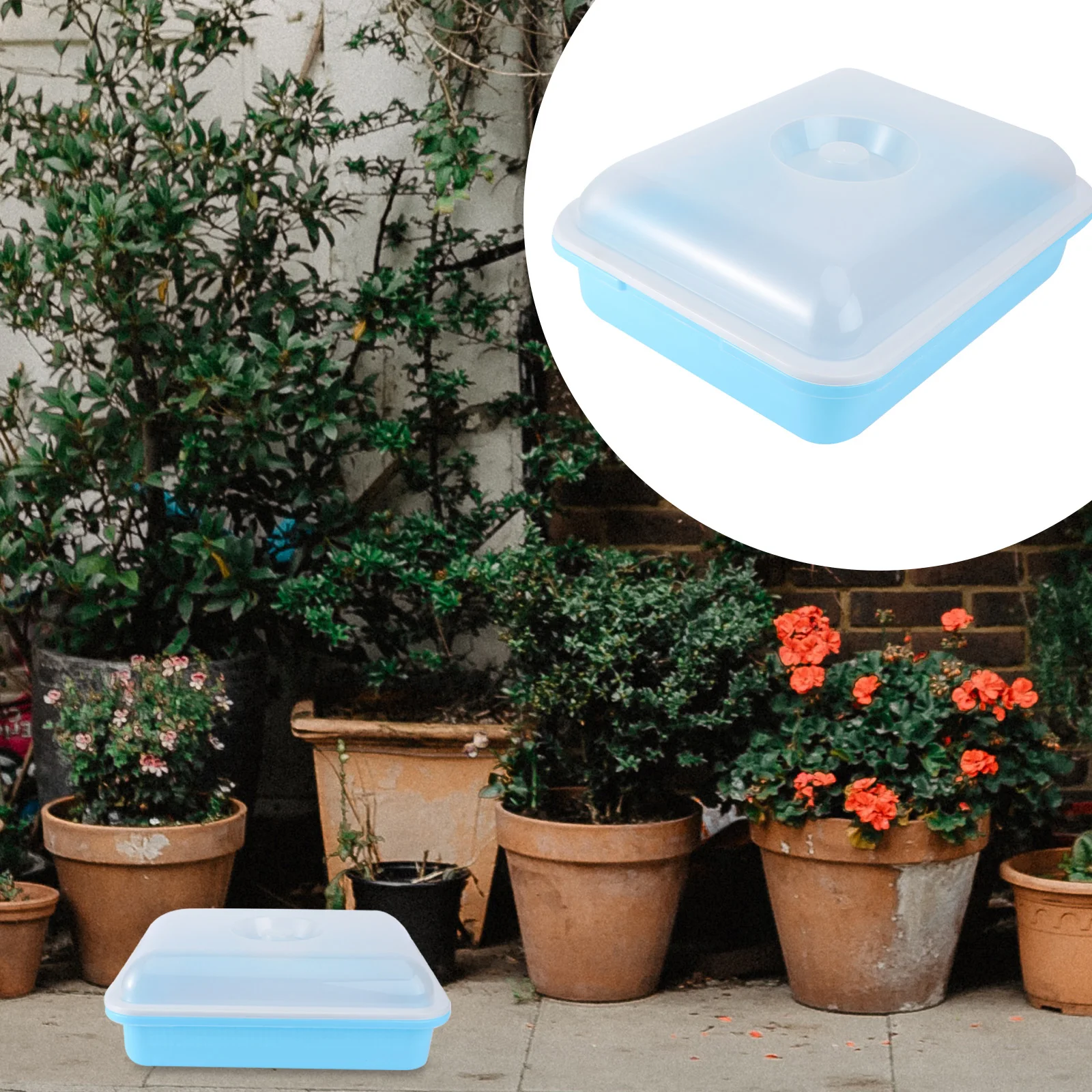 Tray Nursery Trays Growing Propagation Germination Planter Greenhouse Planting Starter Seeding Pot Kit Sprouting Grower
Tray Nursery Trays Growing Propagation Germination Planter Greenhouse Planting Starter Seeding Pot Kit Sprouting Grower