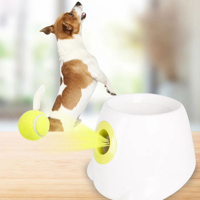 9M Catapult for Dogs Ball Launcher Dog Toy Tennis Ball Launcher Jumping Ball Pitbull Toys Tennis Ball Machine Automatic Throw
9M Catapult for Dogs Ball Launcher Dog Toy Tennis Ball Launcher Jumping Ball Pitbull Toys Tennis Ball Machine Automatic Throw