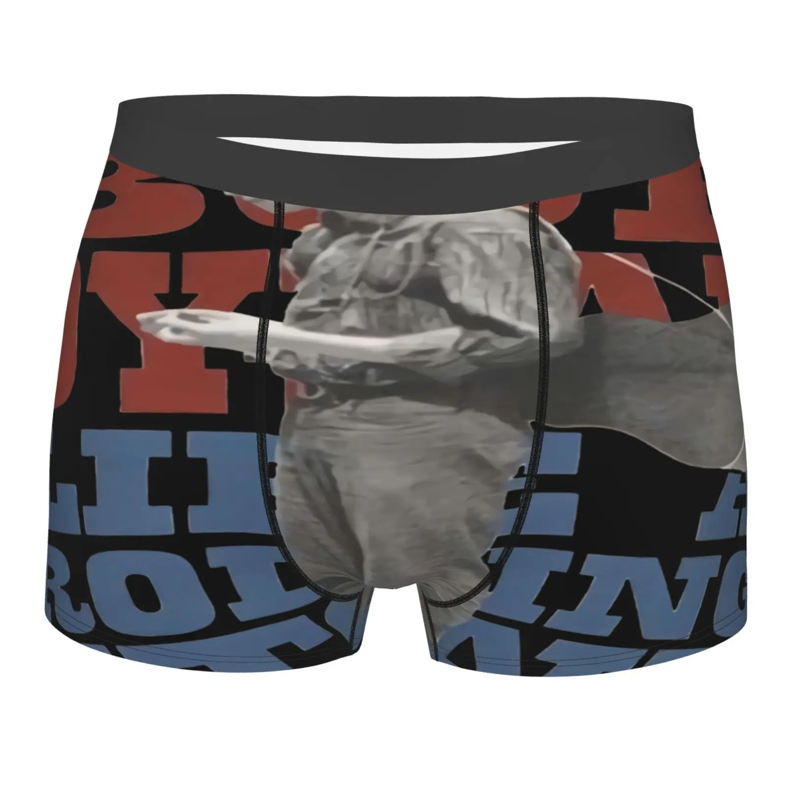 Bob Dylan Standing Stone Boxer Briefs Underwear Lift Men Men's Briefs Teen Boy With Support Pouch Calcinha Boxer Feminina Lift
Bob Dylan Standing Stone Boxer Briefs Underwear Lift Men Men's Briefs Teen Boy With Support Pouch Calcinha Boxer Feminina Lift