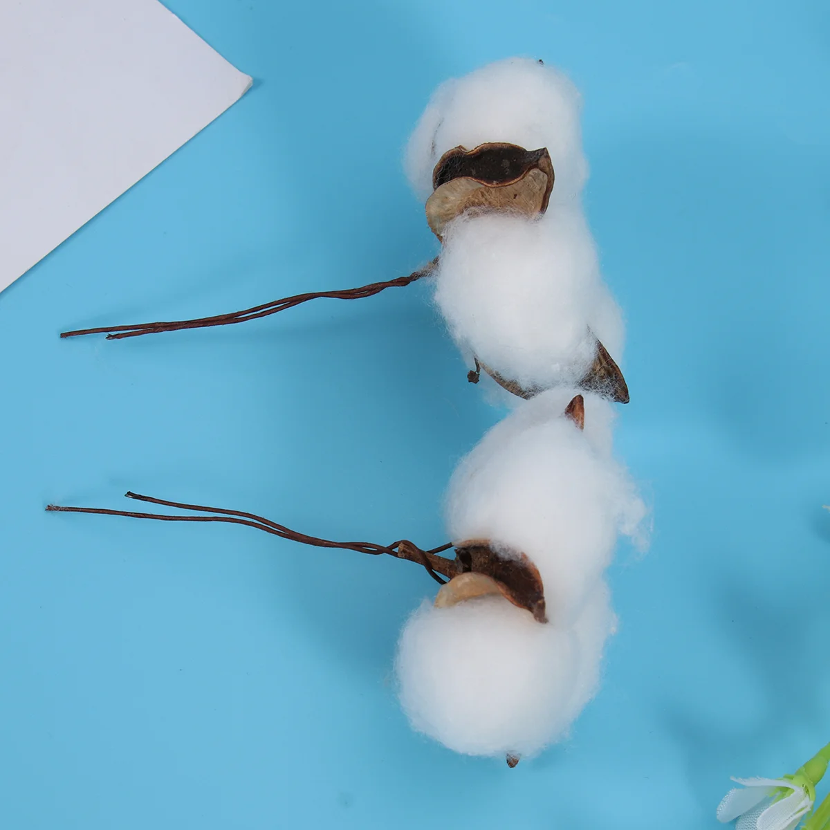 Cotton Stems Dried Flower Diy Flowers Floral Head Artificial Fake White Branch Christmas Pick Natural Kapok Ornament Rustic
Cotton Stems Dried Flower Diy Flowers Floral Head Artificial Fake White Branch Christmas Pick Natural Kapok Ornament Rustic