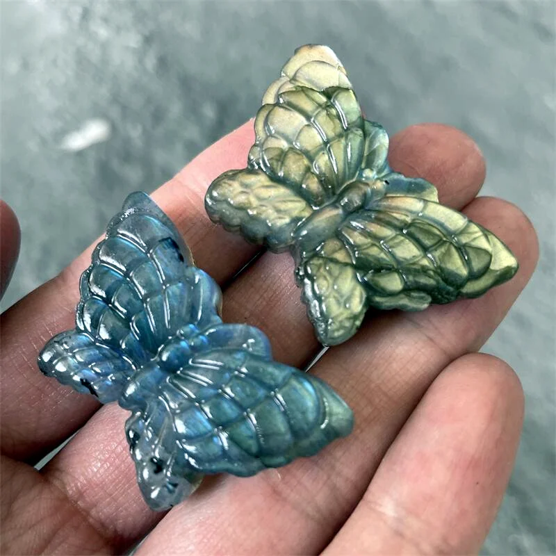 Natural Labradorite Butterfly Handmade Carved Crystal Animal Gems Healing Gifts Natural Stones and Minerals 1pcs
Natural Labradorite Butterfly Handmade Carved Crystal Animal Gems Healing Gifts Natural Stones and Minerals 1pcs
