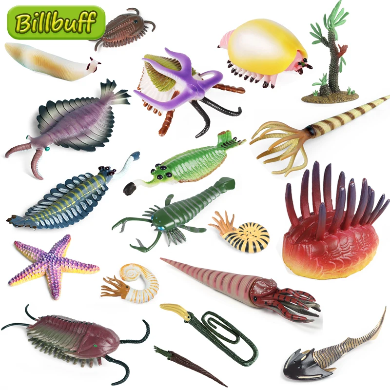 Lifelike Giant Marine Marine Animal Plant Scorpion Cactus Nautilus Trilobites Model Action Figures Educational Toys for Children
Lifelike Giant Marine Marine Animal Plant Scorpion Cactus Nautilus Trilobites Model Action Figures Educational Toys for Children