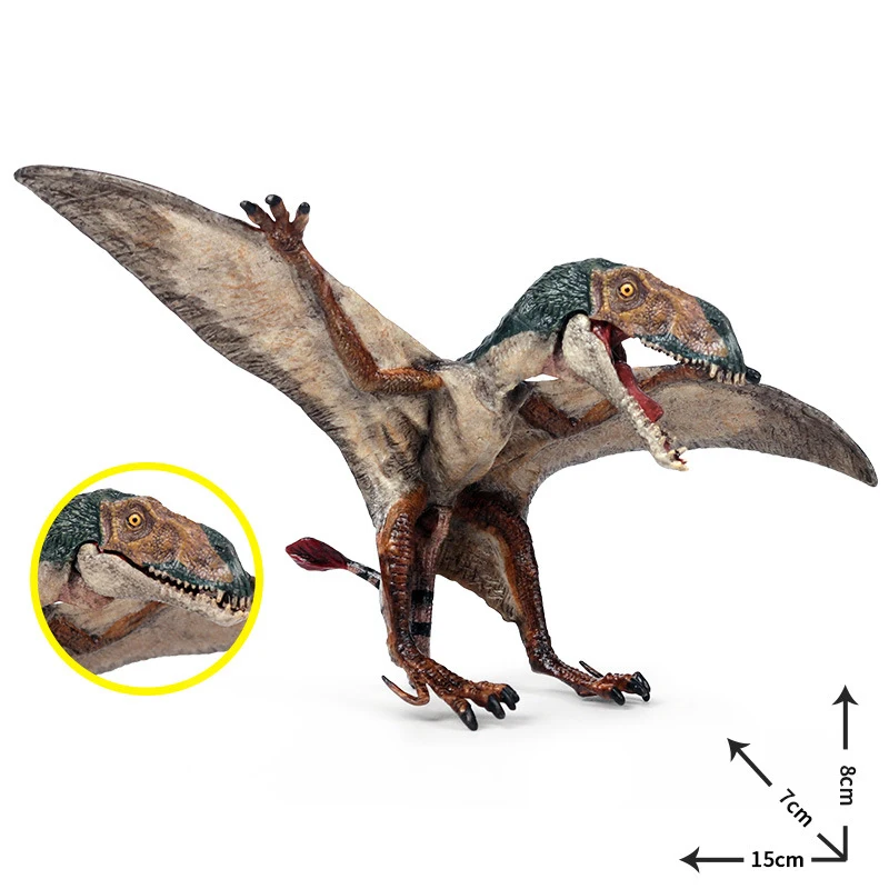 Simulation Dinosaur Toys Biology Educational Pterosaur Allosaurus Dinosaur Model Toy Dinosaurs For Children Kid Gift Boys Toys
Simulation Dinosaur Toys Biology Educational Pterosaur Allosaurus Dinosaur Model Toy Dinosaurs For Children Kid Gift Boys Toys