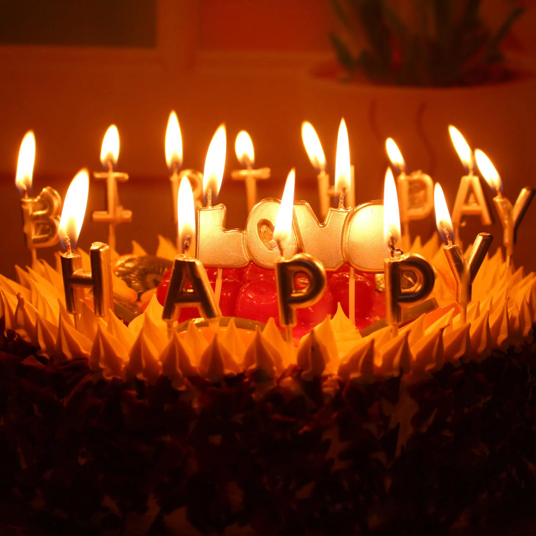 Cute Children Happy Birthday Colored Gold Plated English Letters Candle Cake Dessert Table Decoration
Cute Children Happy Birthday Colored Gold Plated English Letters Candle Cake Dessert Table Decoration