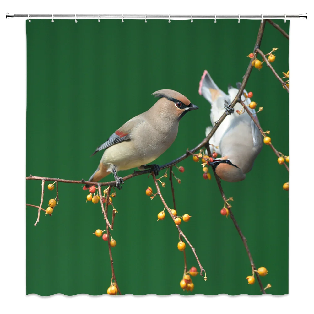 Animal Bird Shower Curtain Hand Painted Color Parrot Tree Plant Pattern Bathroom Waterproof Polyester Bath Curtains With Hooks
Animal Bird Shower Curtain Hand Painted Color Parrot Tree Plant Pattern Bathroom Waterproof Polyester Bath Curtains With Hooks