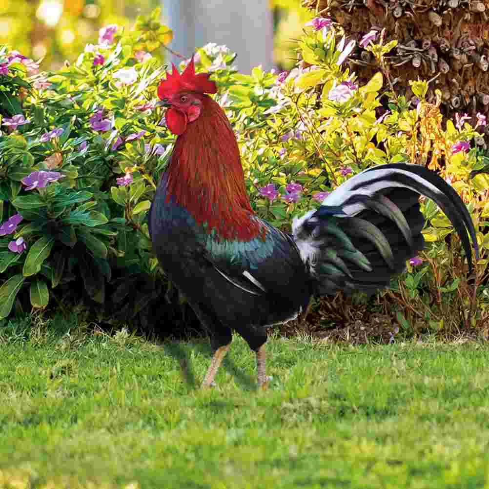 2pcs Acrylic Chicken Yards Stake Garden Animal Decorations Lifelike Chick Stake Ornament
2pcs Acrylic Chicken Yards Stake Garden Animal Decorations Lifelike Chick Stake Ornament