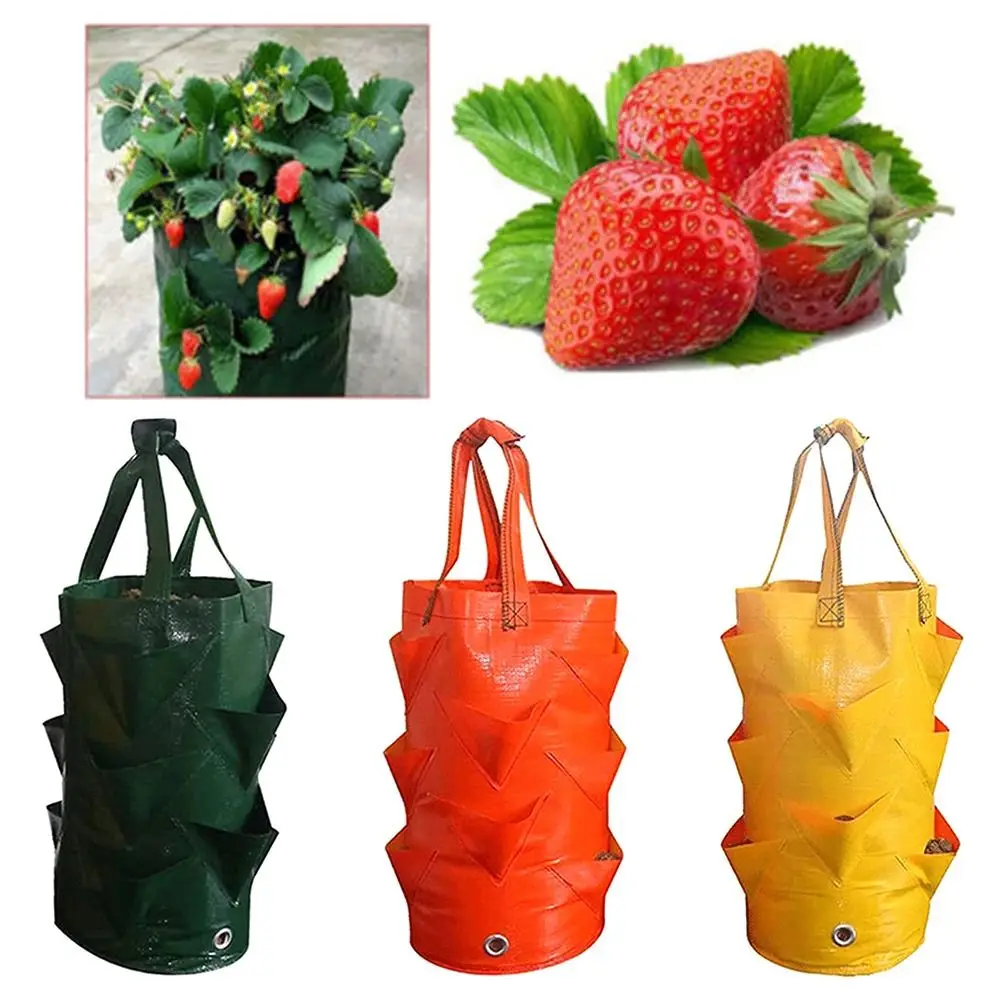Breathable Home Garden Multi-ports Planter Strawberry Grow Bags Vertical Planting Hanging Flowerpot PE Seedling Pouch
Breathable Home Garden Multi-ports Planter Strawberry Grow Bags Vertical Planting Hanging Flowerpot PE Seedling Pouch