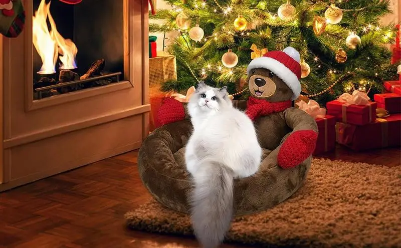 Christmas Cat Bed Christmas Cat Bed Dog Tent House Mat Pet Self-Warming Cute Sofa for Small Dog Kitten Hut pet accessories
Christmas Cat Bed Christmas Cat Bed Dog Tent House Mat Pet Self-Warming Cute Sofa for Small Dog Kitten Hut pet accessories