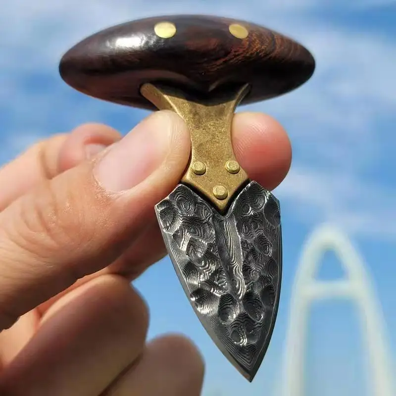 Handmade Tea Knife Damascus Tea Needle Prying Tea Cake Tool To Play Collection Pendant with Gold Steel Pestle
Handmade Tea Knife Damascus Tea Needle Prying Tea Cake Tool To Play Collection Pendant with Gold Steel Pestle