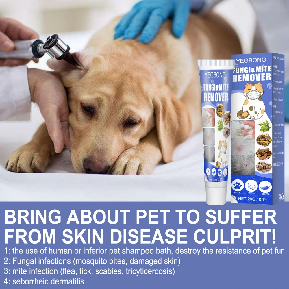 Dog Ringworm Medicine Pet Skin Cream Treatment Mites Anti-itch Treats Stubborn Ringworm For Cat Dog Anti-itch Pet Skin Cream
Dog Ringworm Medicine Pet Skin Cream Treatment Mites Anti-itch Treats Stubborn Ringworm For Cat Dog Anti-itch Pet Skin Cream